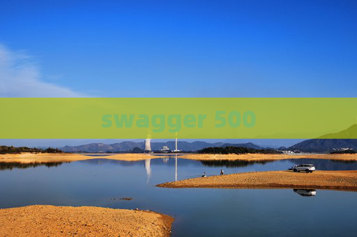 swagger 500